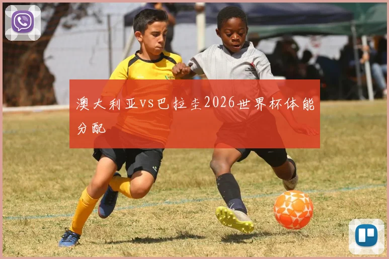 澳大利亚vs巴拉圭2026世界杯体能分配