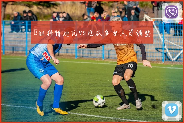 E组科特迪瓦vs厄瓜多尔人员调整