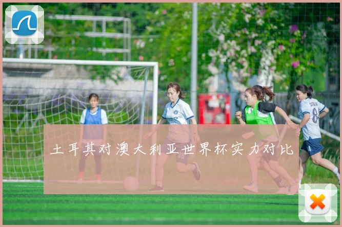 土耳其对澳大利亚世界杯实力对比