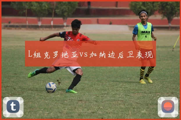 L组克罗地亚vs加纳边后卫表现