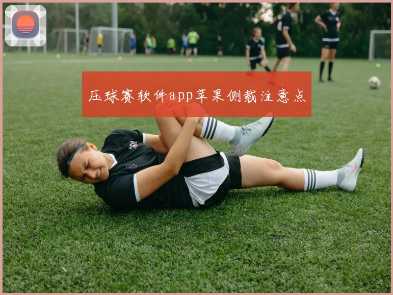 压球赛软件app苹果侧载注意点